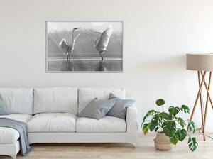 Inramad Poster / Tavla - Black and White Herons - 30x20 Guldram