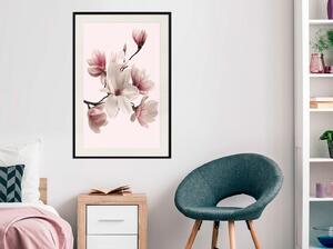 Inramad Poster / Tavla - Blooming Magnolias I - 20x30 Svart ram med passepartout