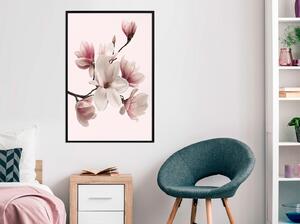 Inramad Poster / Tavla - Blooming Magnolias I - 30x45 Svart ram med passepartout