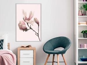 Inramad Poster / Tavla - Blooming Magnolias II - 20x30 Guldram