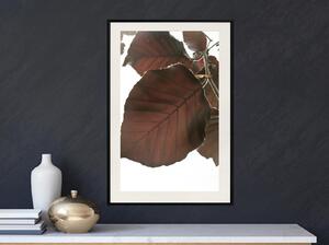 Inramad Poster / Tavla - Burgundy Tilia Leaf - 20x30 Guldram med passepartout
