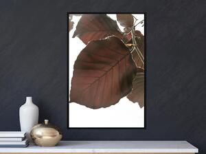 Inramad Poster / Tavla - Burgundy Tilia Leaf - 30x45 Svart ram
