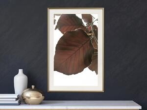 Inramad Poster / Tavla - Burgundy Tilia Leaf - 20x30 Vit ram med passepartout