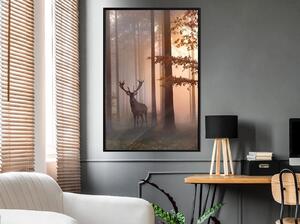 Inramad Poster / Tavla - Forest Seclusion - 20x30 Svart ram
