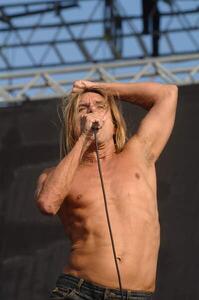 Fotografi Venice 06/20/2008 THE ROCK SINGER IGGY POP and THE STOOGES