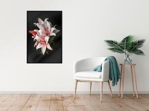 Inramad Poster / Tavla - Pale Pink Lilies - 30x45 Guldram med passepartout