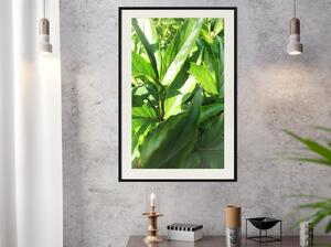 Inramad Poster / Tavla - Somewhere in the Garden - 40x60 Guldram