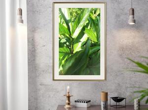 Inramad Poster / Tavla - Somewhere in the Garden - 40x60 Guldram