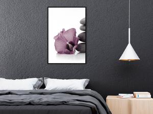 Inramad Poster / Tavla - Violet Harmony - 20x30 Guldram