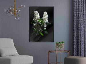 Inramad Poster / Tavla - White Lilac - 40x60 Guldram med passepartout