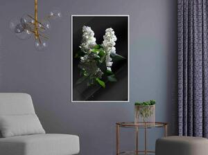 Inramad Poster / Tavla - White Lilac - 30x45 Svart ram