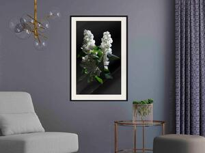 Inramad Poster / Tavla - White Lilac - 40x60 Guldram med passepartout