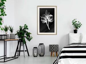 Inramad Poster / Tavla - White Plant - 30x45 Guldram med passepartout
