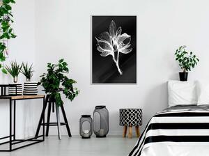 Inramad Poster / Tavla - White Plant - 20x30 Svart ram med passepartout