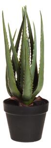 4Living Konstgjord växt - Aloe Vera 45 cm