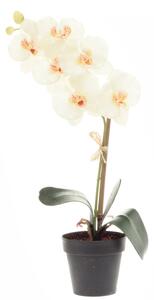 4Living Konstgjord växt - Orkidé 31 cm Vit