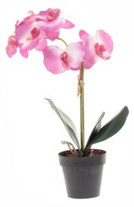 4Living Konstgjord växt - Orkidé 31 cm Lila