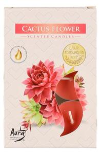 Polar Doftljus Värmeljus Cactus Flower 6-Pack