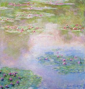 Bildreproduktion Nymphéas (1907), Claude Monet