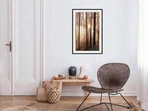 Inramad Poster / Tavla - Morning in the Forest - 20x30 Svart ram