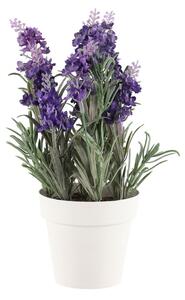 4Living Konstgjord Lavendel i kruka 26 cm - Mörklila