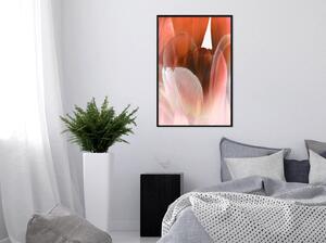 Inramad Poster / Tavla - Tulip Petals - 40x60 Guldram med passepartout