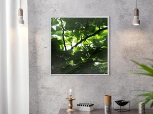 Inramad Poster / Tavla - Under Cover of Leaves - 20x20 Guldram