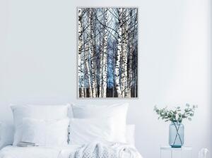 Inramad Poster / Tavla - Winter Birch Trees - 30x45 Guldram med passepartout
