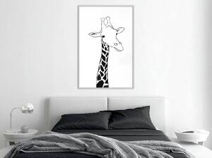 Inramad Poster / Tavla - Black and White Giraffe - 20x30 Svart ram med passepartout
