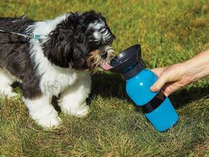 Verk Group Vattenflaska för hund / Hundflaska med skål