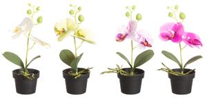 4Living Konstgjord växt - Orkidé 25 cm - Vit/Lila