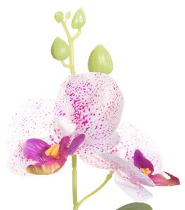 4Living Konstgjord växt - Orkidé 25 cm - Vit/Lila