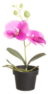 4Living Konstgjord växt - Orkidé 25 cm - Lila