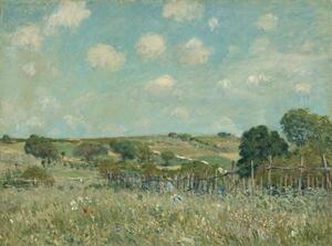 Alfred Sisley - Konsttryck Meadow, 1875, (40 x 30 cm)