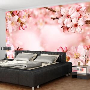 Självhäftande Fototapet - Magical Cherry Blossom - 98x70