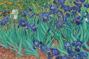 Poster, Affisch Vincent van Gogh - Les Irises