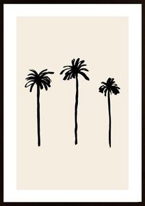 Palm Trees Poster