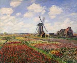 Bildreproduktion Tulip Fields with the Rijnsburg Windmill, 1886, Claude Monet
