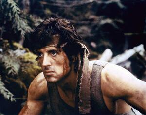 Fotografi Sylvester Stallone