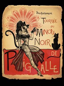 Illustration Tournee Minou Noir, Alchemy