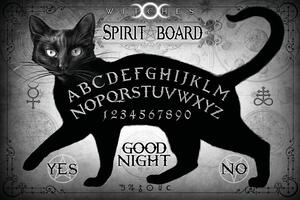 Illustration Black Cat Spirit Board, Alchemy