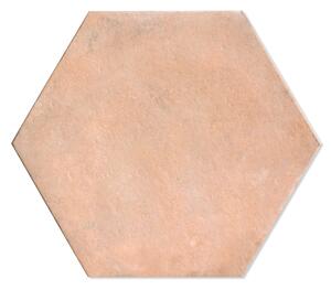 Hexagon Klinker Cascine Cotto Matt 48.5x56 cm