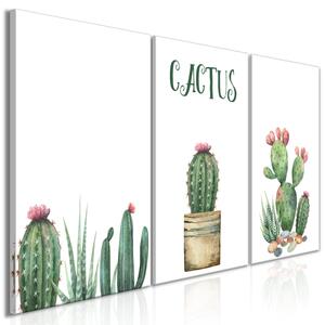 Canvas Tavla - Prickly Flowers (3 delar) - 120x60