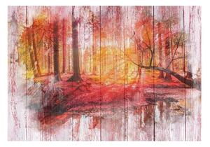 Fototapet - Autumnal Forest - 100x70