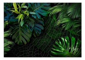 Fototapet - Dark Jungle - 100x70