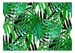 Fototapet - Tropical Leaves - 100x70