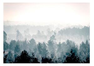 Fototapet - Winter Forest - 100x70