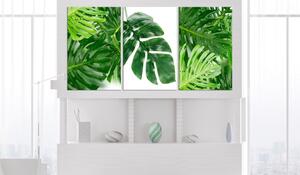 Canvas Tavla - Palm Leaves (3 delar) - 120x60