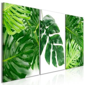 Canvas Tavla - Palm Leaves (3 delar) - 120x60