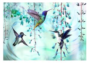 Fototapet - Flying Hummingbirds (Green) - 100x70